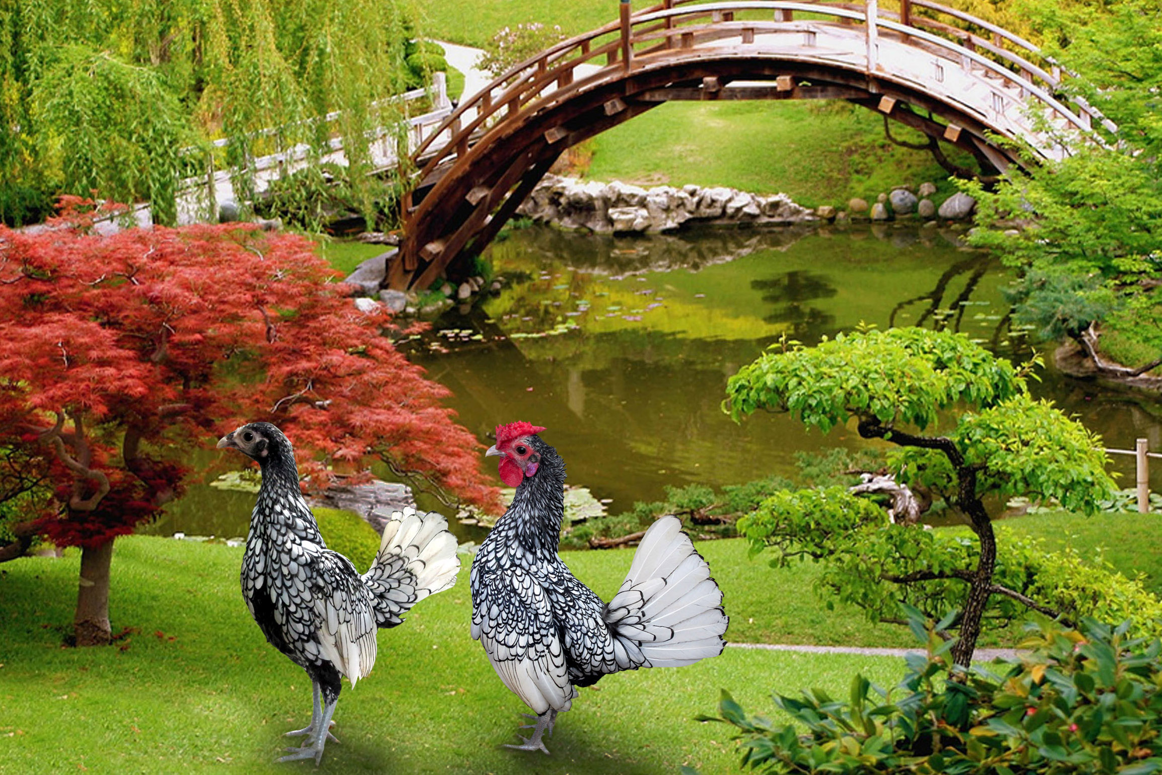 Mỹ k&ecirc; c&oacute; m&agrave;u trắng bạc