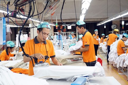 Nên giữ nguyên tuổi nghỉ hưu