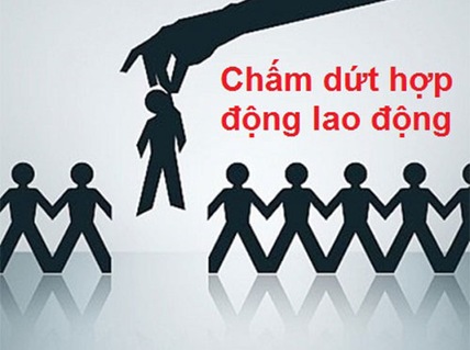 Đồng ý cho nghỉ việc - Ảnh 1.