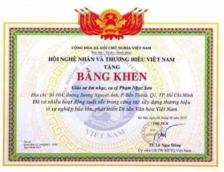 Phong gi&aacute;o sư &acirc;m nhạc cho Ngọc Sơn: Tr&ograve; PR rẻ tiền - Ảnh 1.