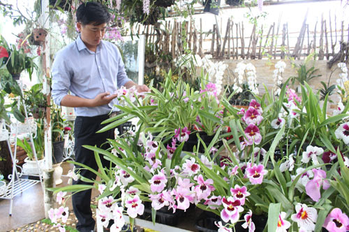 Soái ca hoa lan ở Đà Lạt - Ảnh 2.