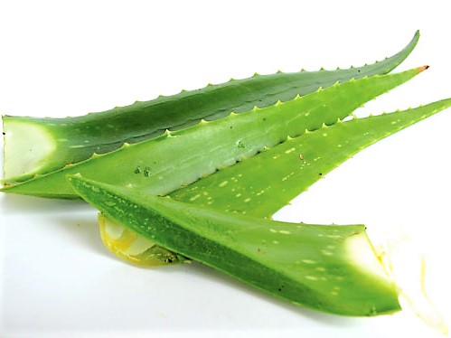 Nha đam