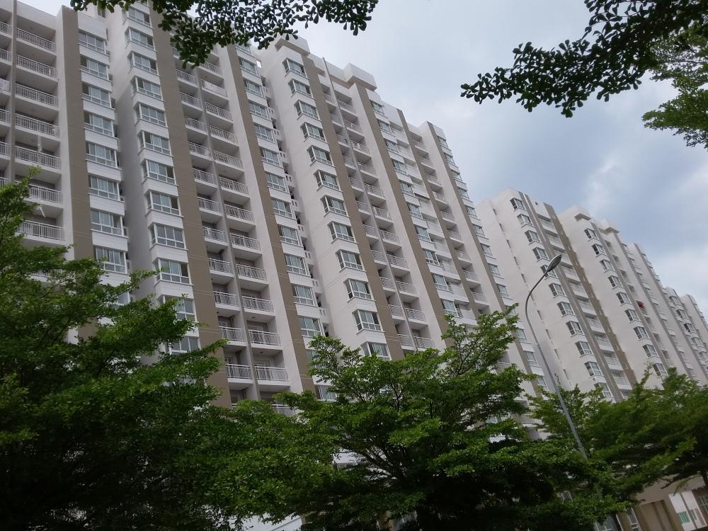 Tin vui cho người thu nhập thấp chưa có nhà