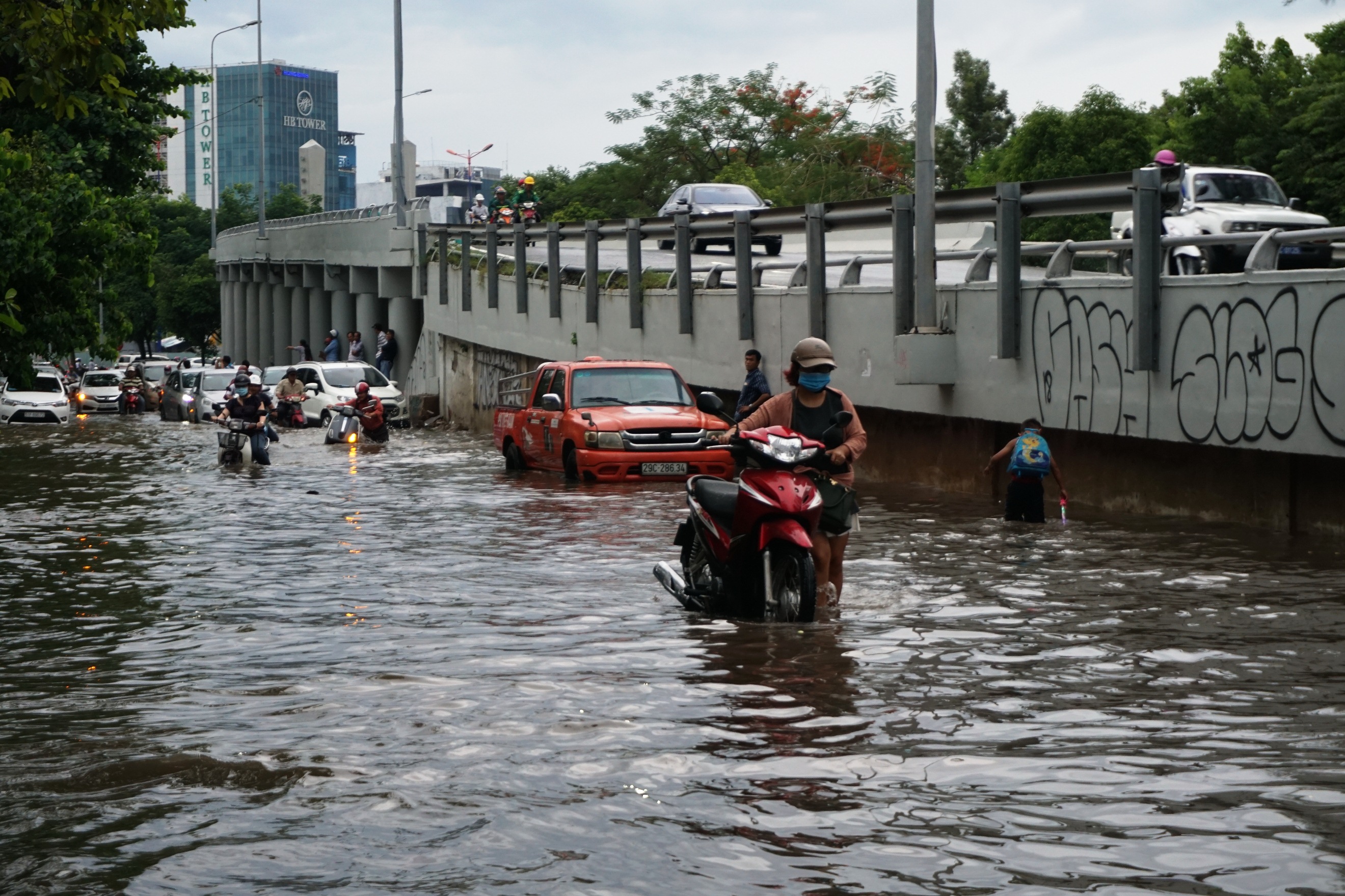 Cây đổ kéo gãy trụ điện, ngập nước gây náo loạn - Ảnh 3.