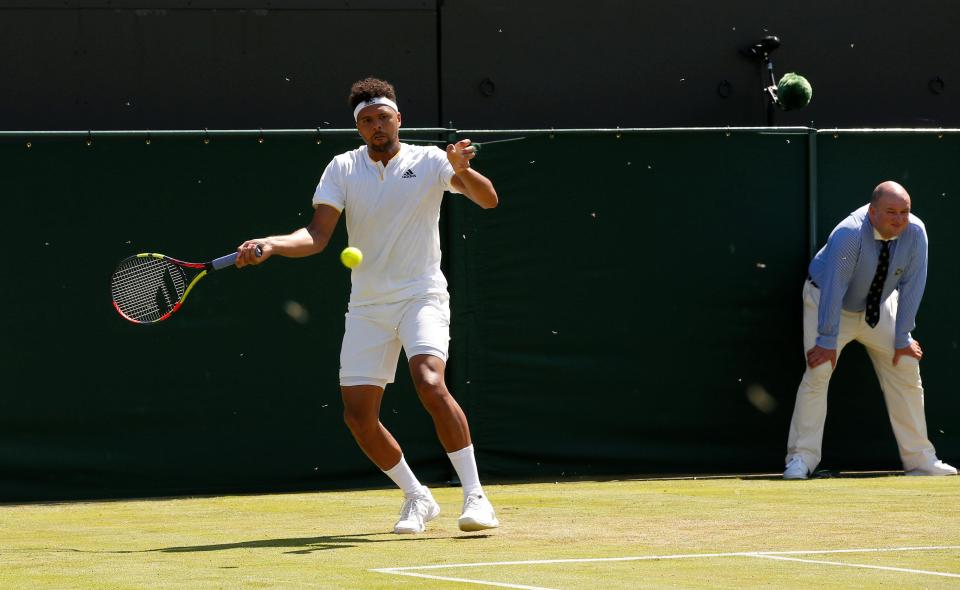 Wimbledon khổ vì kiến cánh - Ảnh 5.