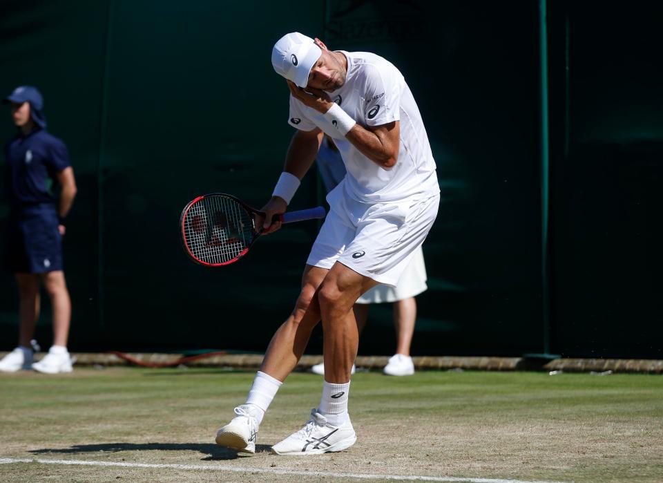 Wimbledon khổ vì kiến cánh - Ảnh 1.
