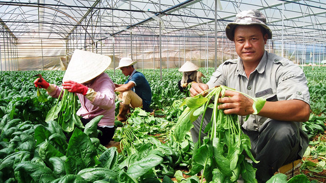 Nông nghiệp soán 'ngôi vương' kênh đầu tư 2017