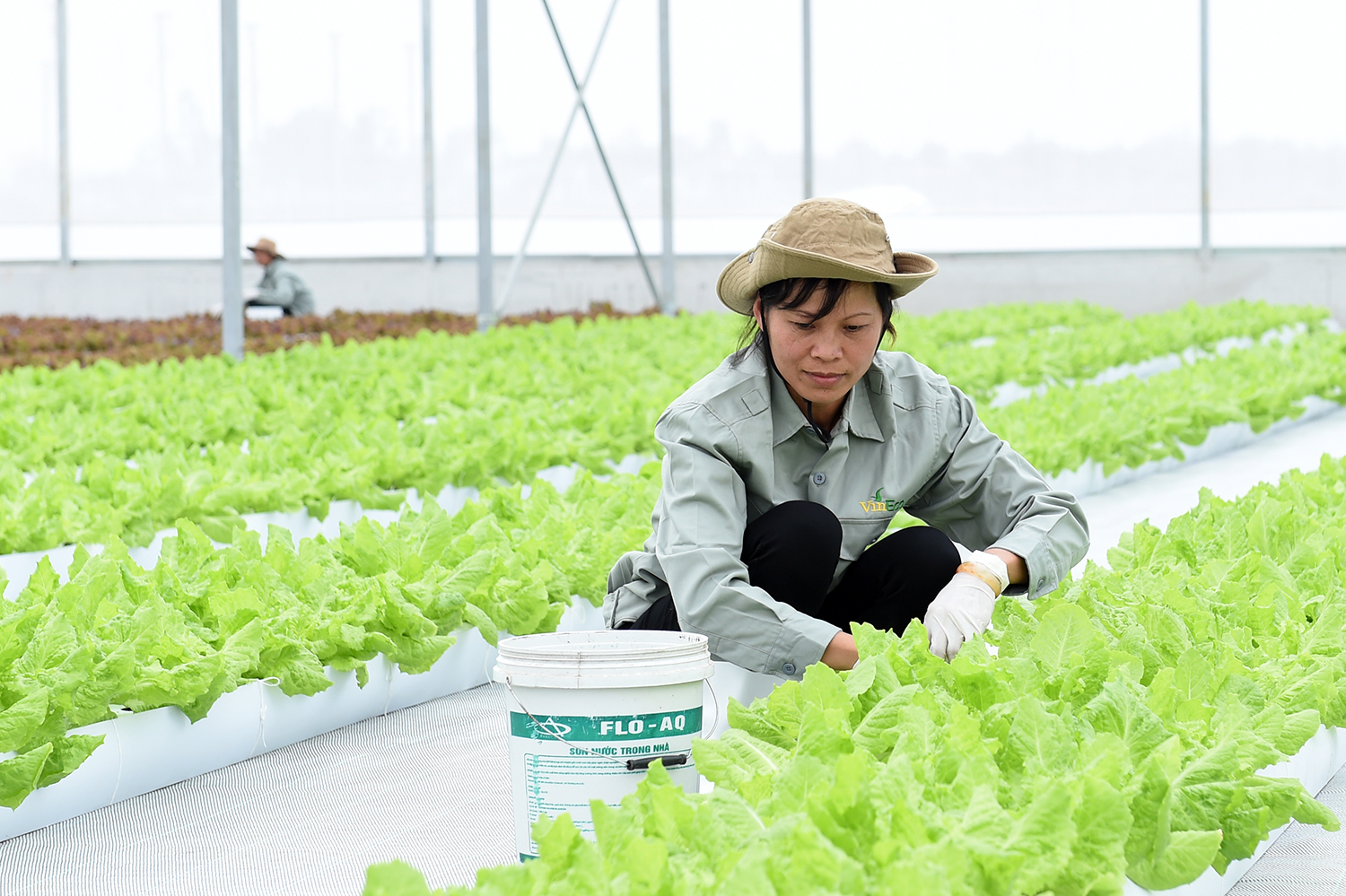 
Tr&ecirc;n khu đất sản xuất với diện t&iacute;ch gần 130 ha, VinEco H&agrave; Nam sẽ triển khai khoảng 15 sản phẩm chủ lực phục vụ thị trường trong nước v&agrave; xuất khẩu
