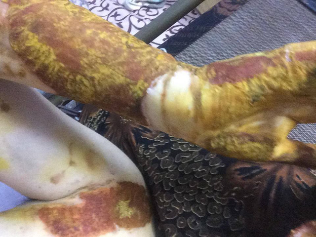 Nam sinh gây tai nạn cho nữ sinh ở phòng thí nghiệm nói gì?