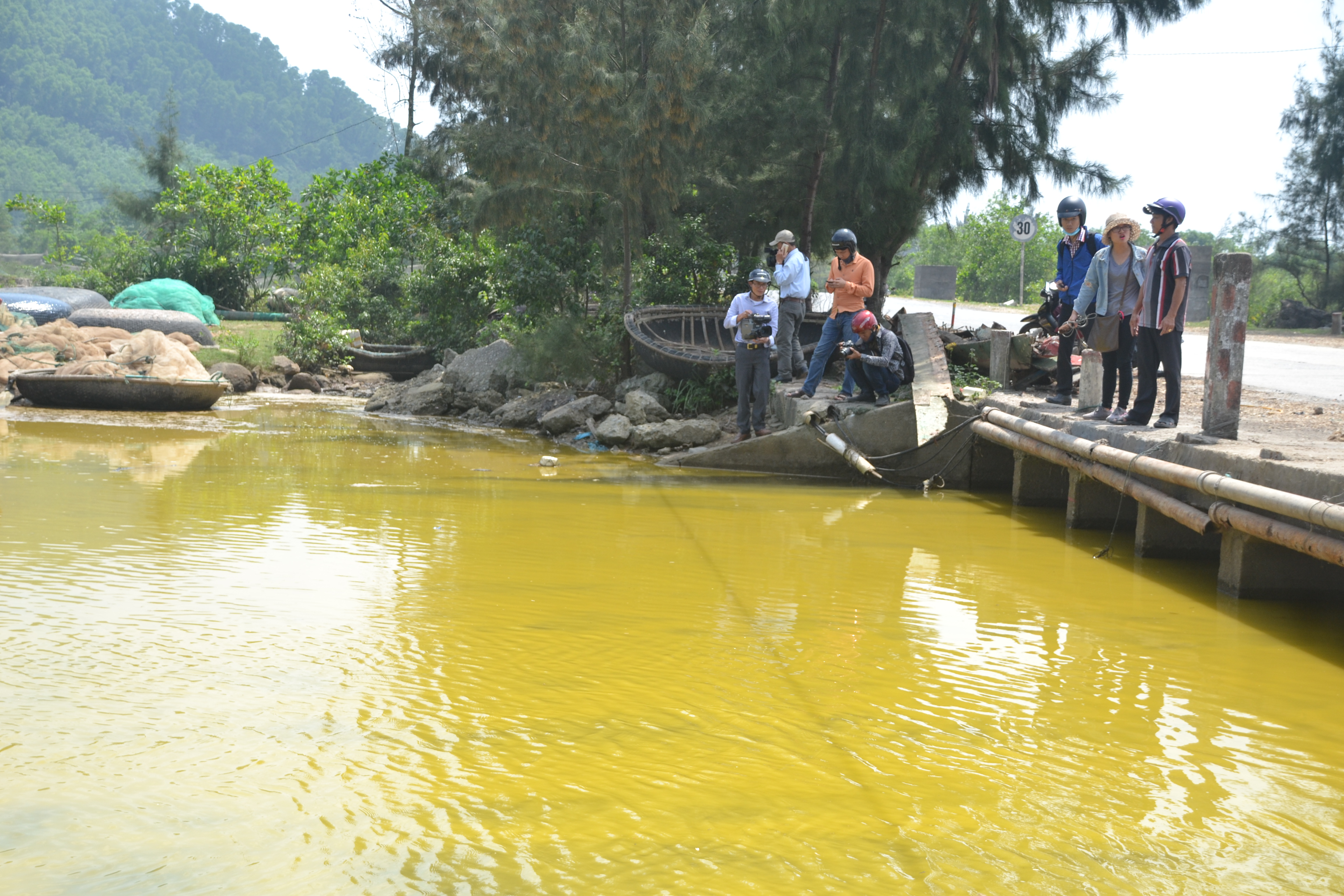 
M&agrave;u v&agrave;ng v&agrave; c&oacute; m&ugrave;i h&ocirc;i tanh khi tảo chết
