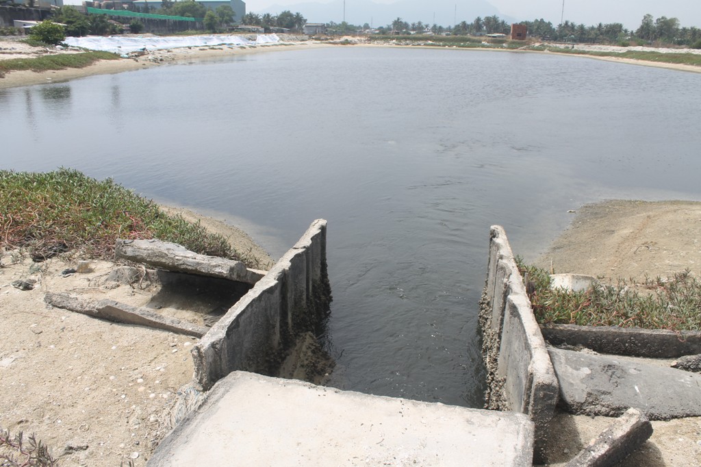 Nước thải chảy vào khu vực nuôi trồng thủy sản của người dân làm thiệt hại hàng tỷ đồng