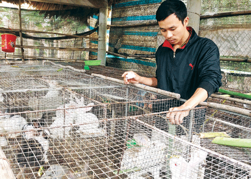 Làm giàu trên vùng cát trắng - Ảnh 1.