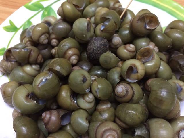 
Ốc gạo luộc sơ
