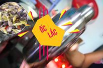 Ốc lắc nước mắm hương vị miền Trung