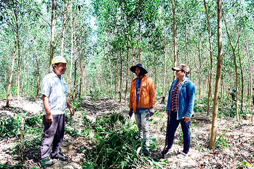 Ông chủ tốt bụng