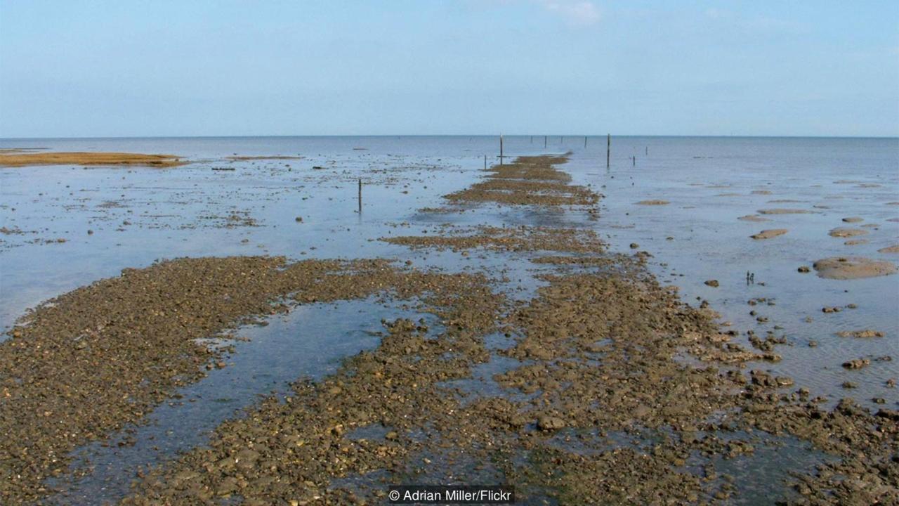 
Broomway, con đường chết ch&oacute;c nhất nước Anh. Ảnh: Adrian Miller
