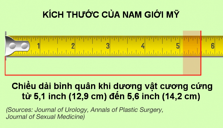 Khẩu ph&aacute;o ta x&agrave;i l&agrave; d&agrave;i hay ngắn? - Ảnh 3.
