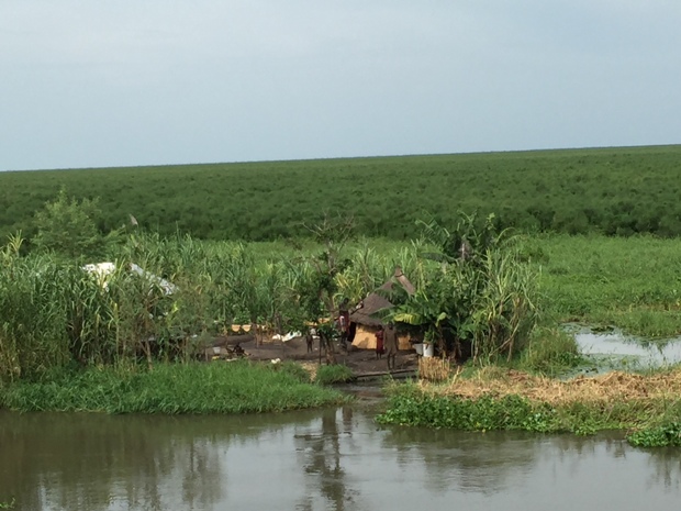 
Những t&uacute;p lều tukul dọc s&ocirc;ng Nile Trắng, tr&ecirc;n đất Nam Sudan

