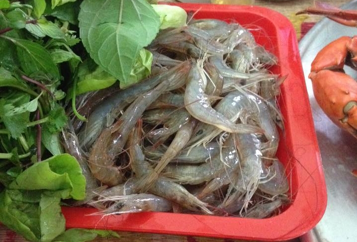 Trải nghiệm khó quên với đặc sản tôm bò Liên Vị