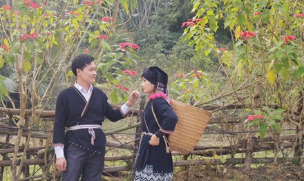 Một cặp đôi người Dao ở Xuân Sơn trong trang phục truyền thống.