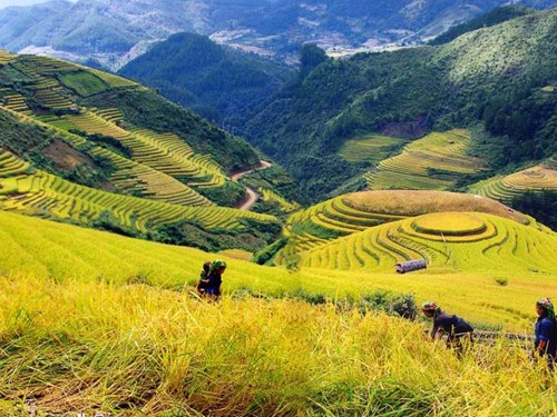 
Du lịch H&agrave; Giang. Ảnh: Dulichkhatvongviet.
