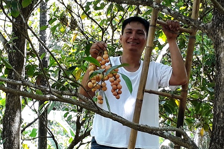 Anh H&agrave; Hảo Hiếu l&ugrave;ng sục rất l&acirc;u trong vườn d&acirc;u chỉ t&igrave;m được 1 ch&ugrave;m tr&aacute;i thế n&agrave;y.