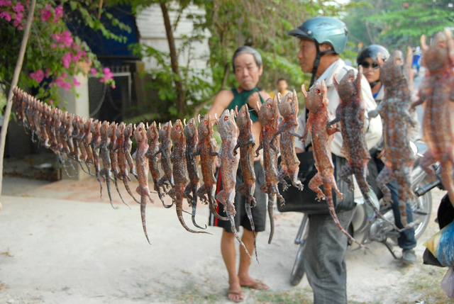 Từ kh&aacute; l&acirc;u, Tịnh Bi&ecirc;n - An Giang đ&atilde; trở th&agrave;nh một trung t&acirc;m thương mại, dịch vụ, đầu mối giao th&ocirc;ng quan trọng của v&ugrave;ng bi&ecirc;n giới t&acirc;y nam với nhiều mặt h&agrave;ng đặc biệt. Những người ở xung quanh khu vực thường gọi chợ n&agrave;y l&agrave; chợ C&ocirc;n tr&ugrave;ng v&igrave; ở đ&acirc;y chuy&ecirc;n b&aacute;n &ldquo;h&agrave;ng độc&rdquo; như mối ch&uacute;a, rết, b&ograve; cạp, ve sữa, tắc k&egrave;, bửa củi&hellip;