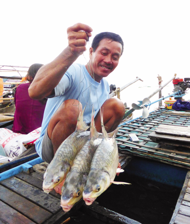Săn cá cóc trên sóng nước miền Tây