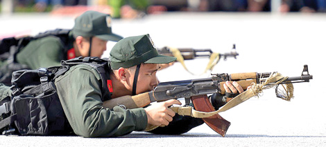 "Săn cá mập" giữa đại dương ngày giáp Tết