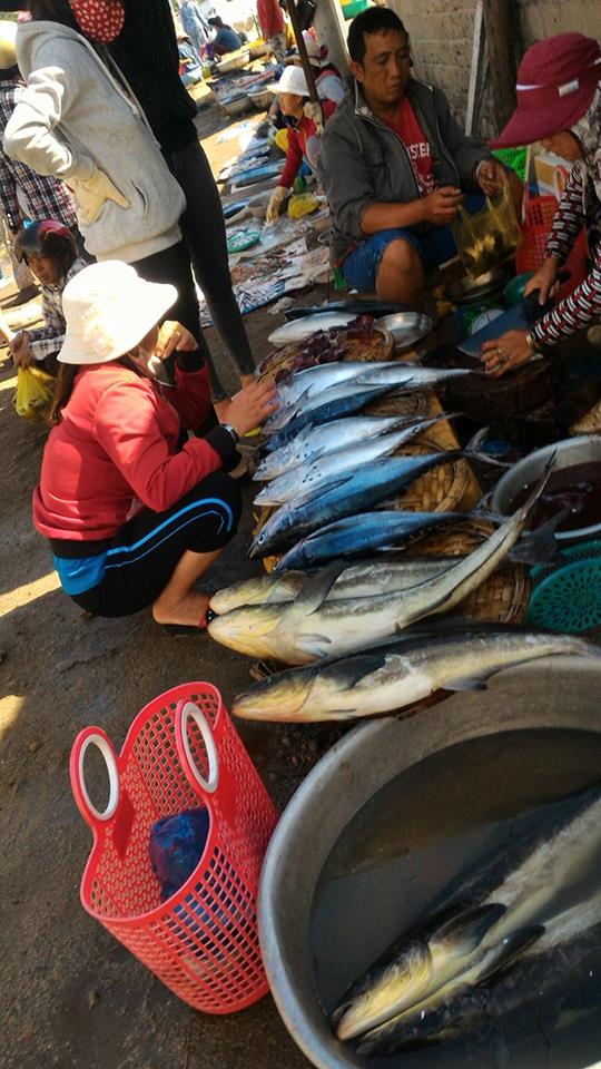 Có rất nhiều loại cá được du khách lựa chọn