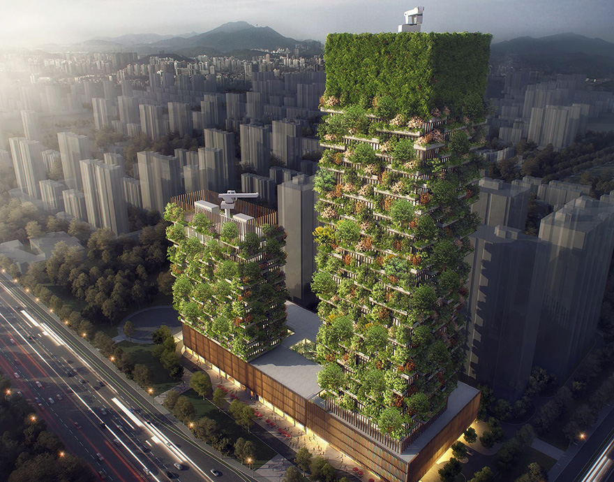 “Khu rừng dọc” đầu tiên ở châu Á.