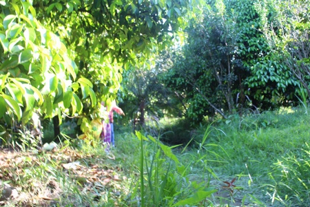 Nghi phạm mắc bệnh "trộm nội y phụ nữ"