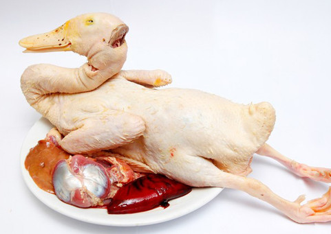 Vịt tươi là nguyên liệu chính của món ăn này
