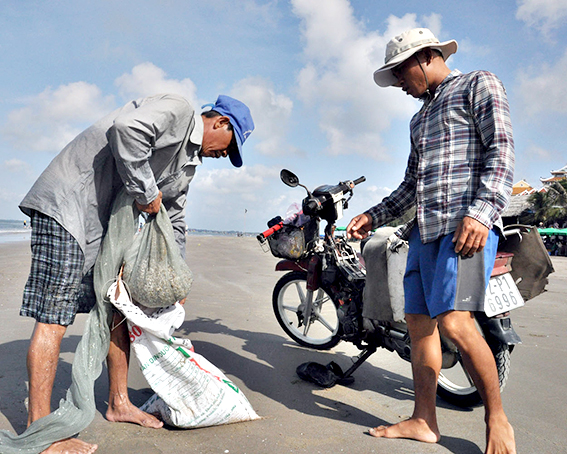 Anh Trần Văn Minh (tr&aacute;i) thu được khoảng 40kg ốc m&oacute;ng tay sau 2 giờ c&agrave;o tr&ecirc;n b&atilde;i biển Long Hải, huyện Long Điền. Ảnh: MINH THANH