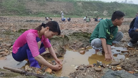 
Rất nhiều người d&acirc;n đ&atilde; bỏ b&ecirc; c&ocirc;ng việc đồng &aacute;ng, ruộng nương để đi đ&agrave;o đ&aacute; đỏ.
