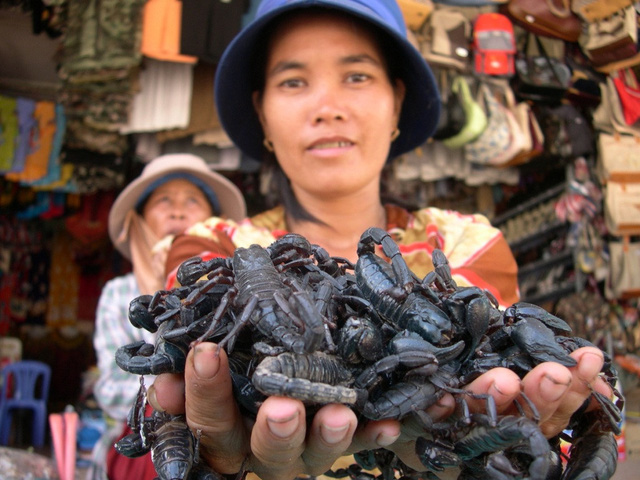 Chị L&ecirc; Thị Hiếu, c&oacute; 5 năm thu mua b&ograve; cạp về b&aacute;n tại chợ Tịnh Bi&ecirc;n, cho biết, b&igrave;nh qu&acirc;n v&agrave;o th&aacute;ng cao điểm (từ th&aacute;ng gi&ecirc;ng đến th&aacute;ng 5), lượng kh&aacute;ch đi viếng ch&ugrave;a B&agrave; Ch&uacute;a Xứ n&uacute;i Sam (Ch&acirc;u Đốc) về chợ bi&ecirc;n giới rất đ&ocirc;ng, n&ecirc;n cũng l&agrave; l&uacute;c d&acirc;n b&aacute;n c&ocirc;n tr&ugrave;ng tập trung về đ&acirc;y để phục vụ du kh&aacute;ch. Chỉ t&iacute;nh ri&ecirc;ng b&ograve; cạp, mỗi h&agrave;ng c&oacute; thể b&aacute;n ra từ 500 &ndash; 600 con/ng&agrave;y. B&ograve; cạp ở đ&acirc;y được b&aacute;n với gi&aacute; 4.000-5.000 đồng/con t&ugrave;y k&iacute;ch cỡ.