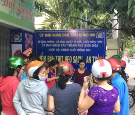 Đồng Nai muốn bán thịt heo giá 40.000 đồng ở TP HCM - Ảnh 1.