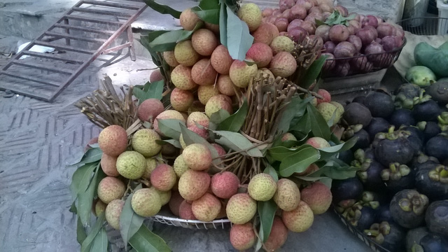 Vải đầu m&ugrave;a gần 100.000 đồng/kg, đắt gấp 7 lần gi&aacute; gốc - Ảnh 2.