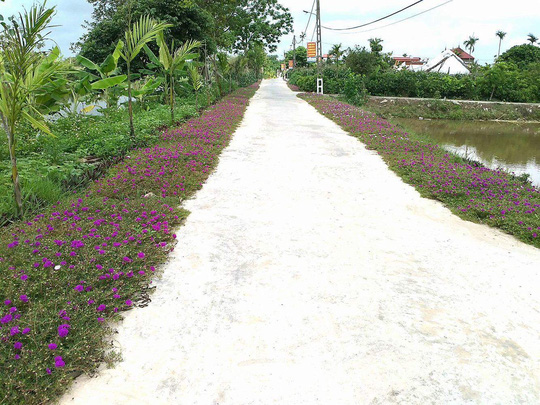 Ngỡ ngàng những con đường hoa rực rỡ làng quê miền Bắc - Ảnh 2.