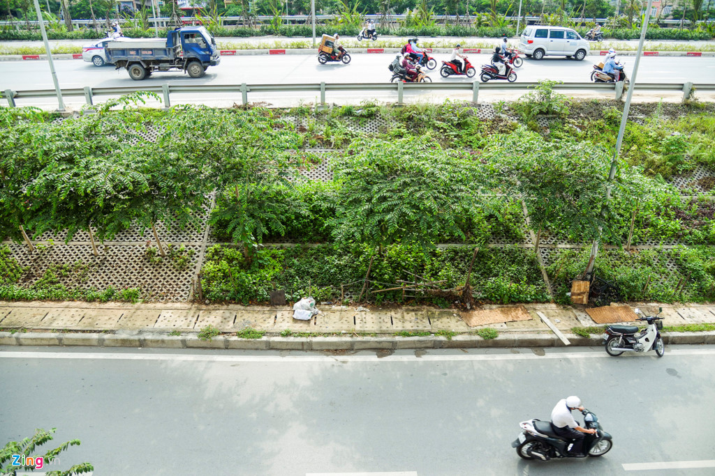 Kiểu trồng rau c&oacute; 1 kh&ocirc;ng 2 của người H&agrave; Nội - Ảnh 2.