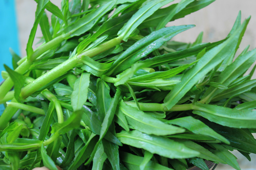 Những loại rau dân dã trong ẩm thực miền Tây - Ảnh 5.