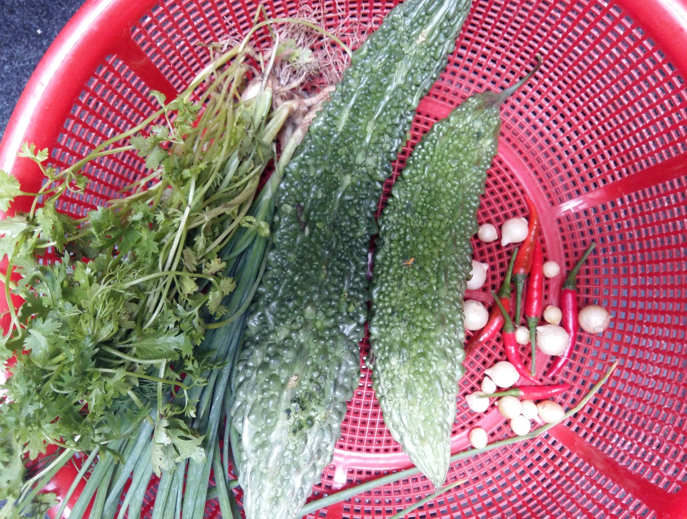 Ngon, ngọt c&aacute; chuồn nấu canh khổ qua - Ảnh 1.