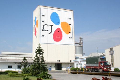 Tham vọng của đại gia H&agrave;n Quốc th&acirc;u t&oacute;m Cầu Tre - Ảnh 2.