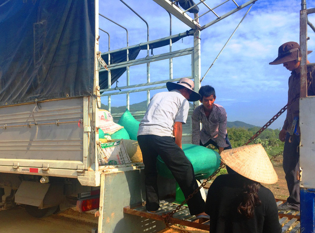 Gi&aacute; ớt lao dốc, b&aacute;n 1kg kh&ocirc;ng mua nổi g&oacute;i m&igrave; t&ocirc;m - Ảnh 2.
