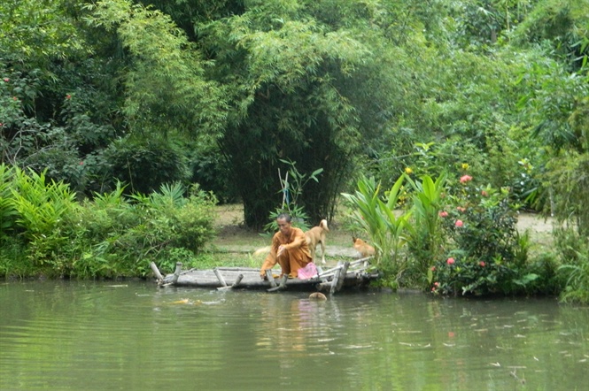 Khu rừng tre của vị ẩn sĩ núi Sơn Trà