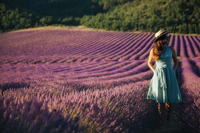Thiên đường oải hương tràn sắc tím giữa lòng Provence - Ảnh 3.