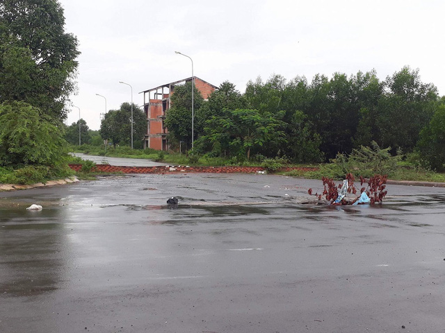 Nh&agrave; đầu tư nản l&ograve;ng, đất th&agrave;nh phố mới Nhơn Trạch đ&igrave;u hiu - Ảnh 1.