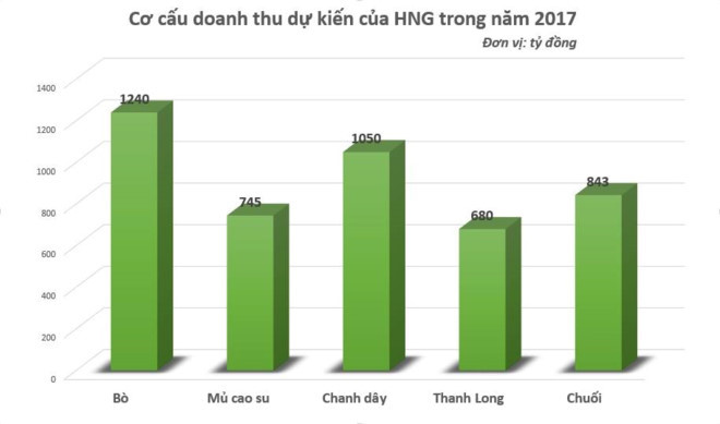 T&ocirc;i cam đoan Đo&agrave;n Nguy&ecirc;n Đức kh&ocirc;ng c&oacute; c&ocirc;ng ty ri&ecirc;ng n&agrave;o cả - Ảnh 1.