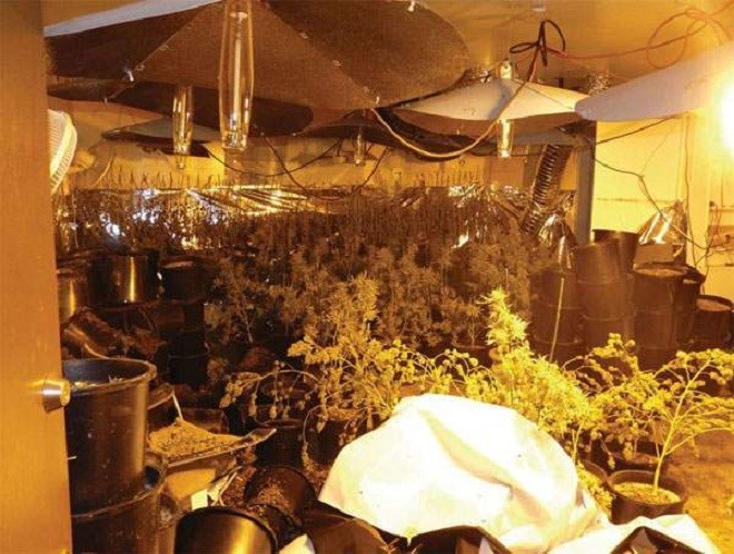 Đường sa ng&atilde; của hoa hậu Tr&acirc;m B&ugrave;i - Ảnh 2.
