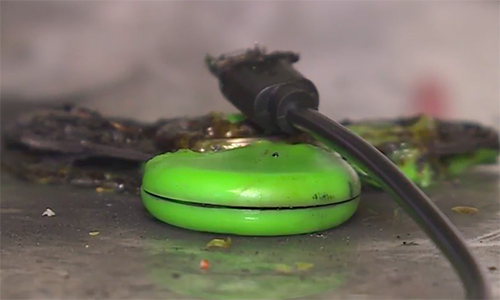 Fidget spinner Trung Quốc phát nổ